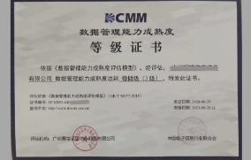 DCMM數據管理能力成熟度評估服務